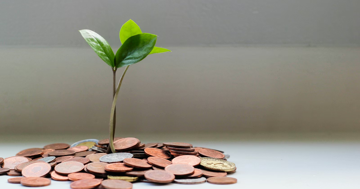 پرتفوی چیست و چرا باید ارزش روز آن را بدانیم؟