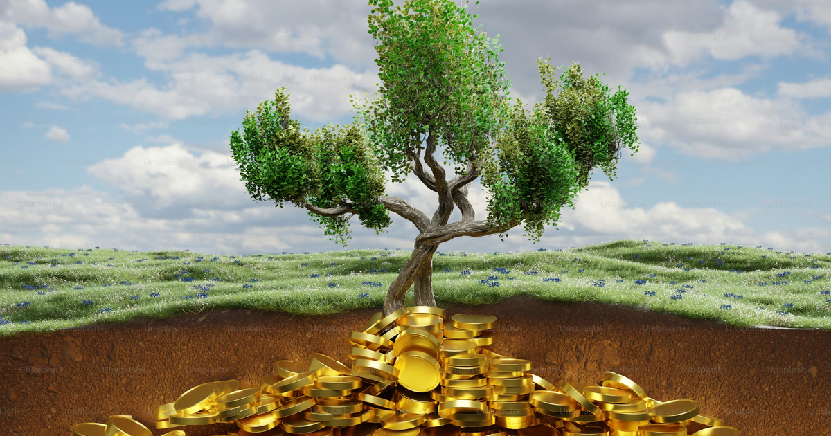 تفاوت مدیریت مالی با حسابداری شخصی